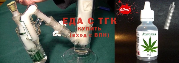 шишки Инта