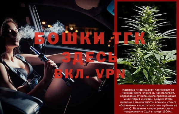 ПСИЛОЦИБИНОВЫЕ ГРИБЫ Иннополис