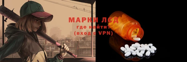 ПСИЛОЦИБИНОВЫЕ ГРИБЫ Иннополис