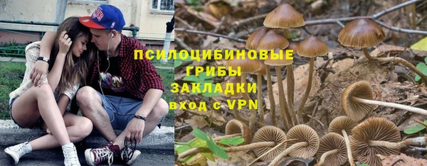 шишки Инта