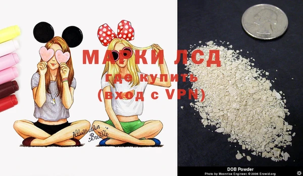 шишки Инта
