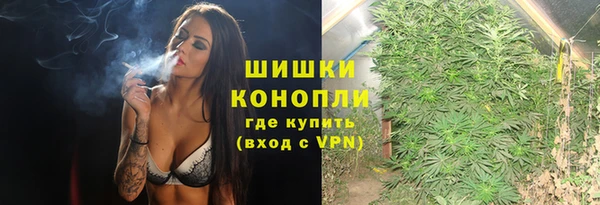шишки Инта