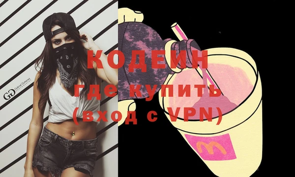 шишки Инта