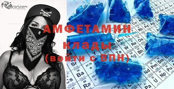 шишки Инта