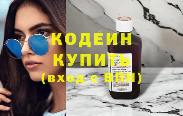 шишки Инта