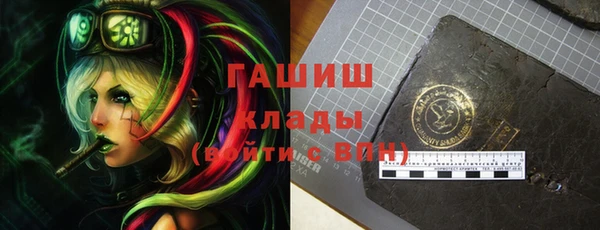 шишки Инта