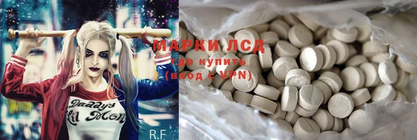 шишки Инта