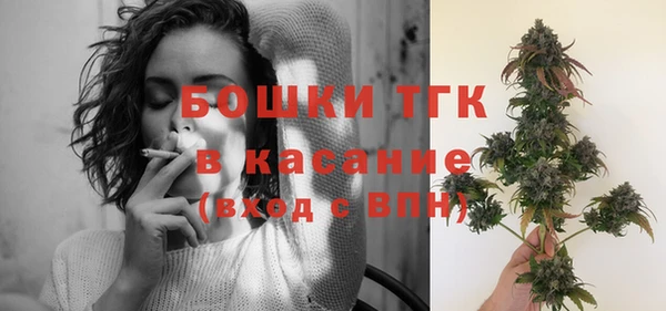 ПСИЛОЦИБИНОВЫЕ ГРИБЫ Иннополис
