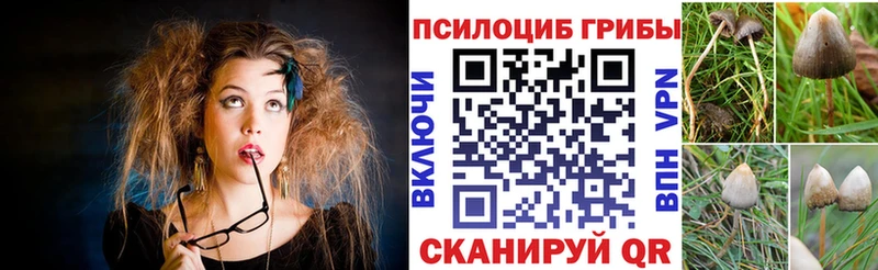Галлюциногенные грибы Cubensis  Купить закладки  Юрьев-Польский 